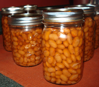Basic Beans - Pressure canning Pinto Beans - SBCanning.com - homemade ...