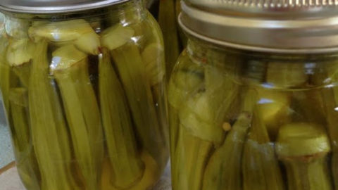 Canning Pickled Okra Ball Blue Book Has It Perfect Sbcanning Com Homemade Canning Recipes