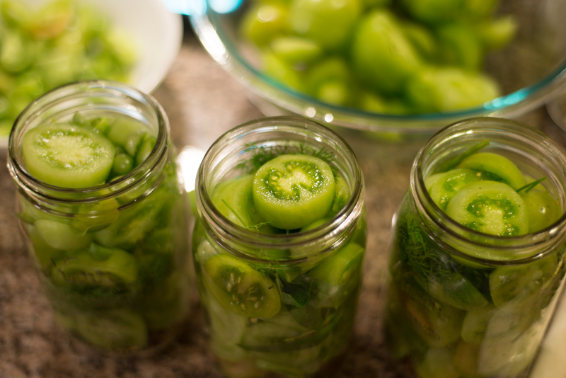 Canning Green Tomato Pickles -  - homemade canning recipes
